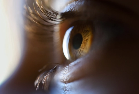 Vision