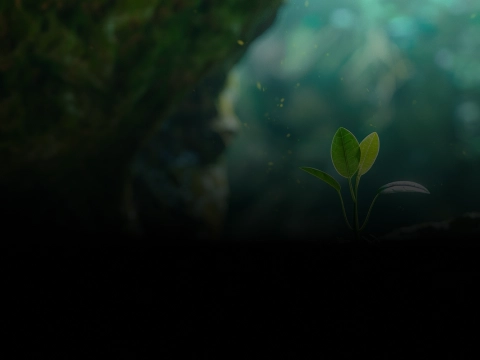 Environmental Responsibility