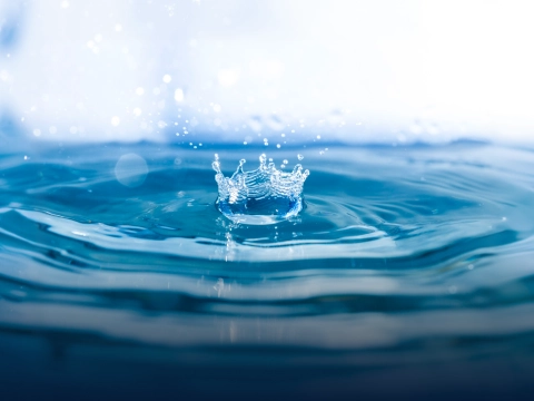 Water & Waste Management