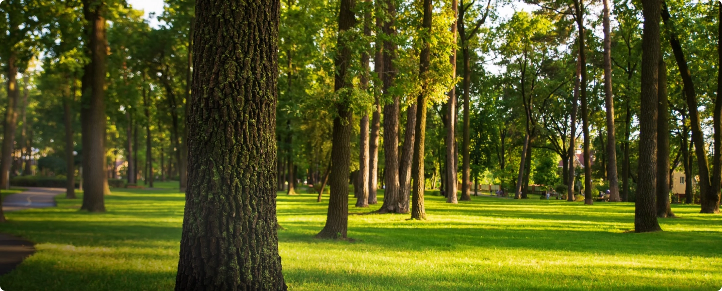 Darsh Industrial Parks sustainability